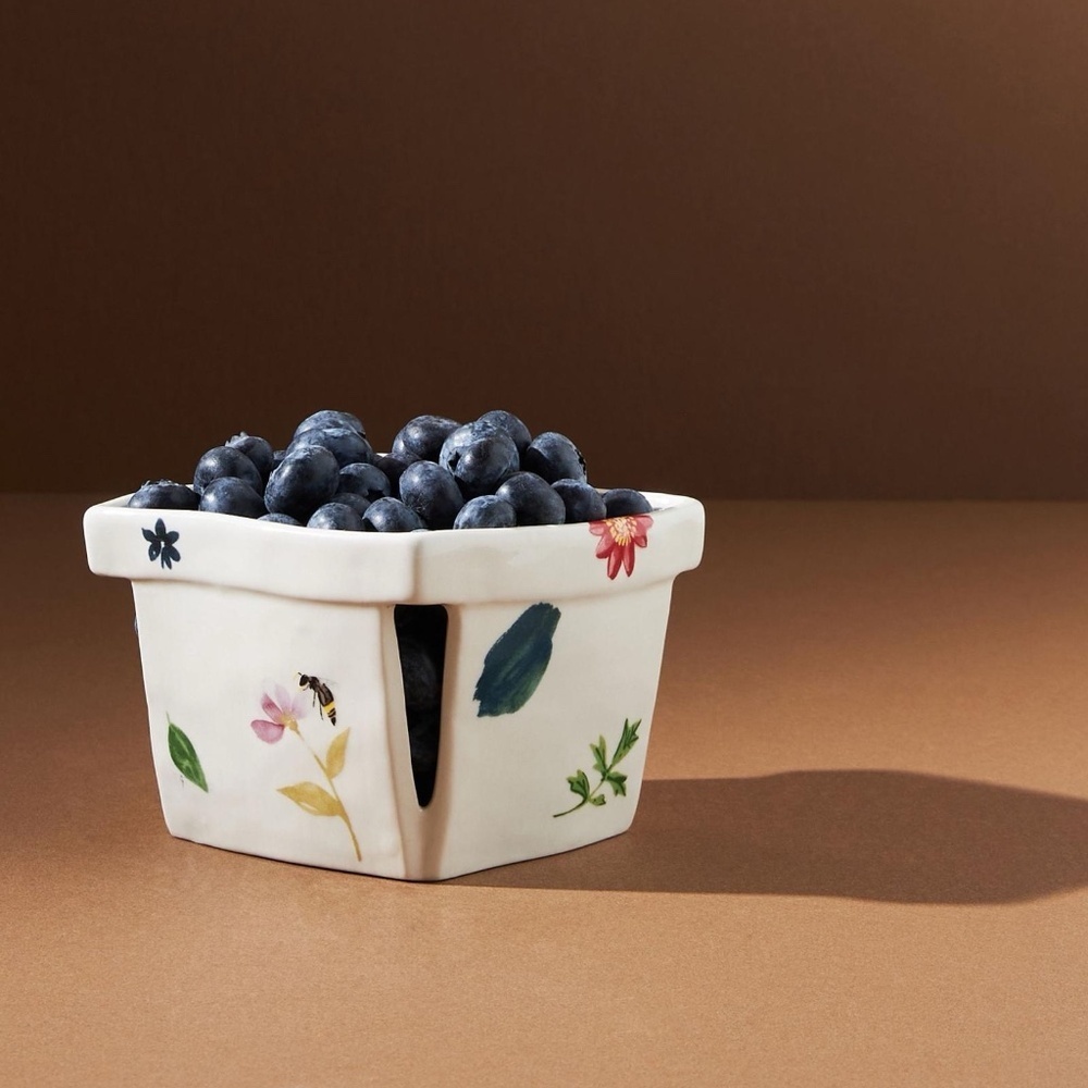 NWT Anthropologie SMALL Monarch Berry Basket